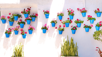 Blomster spanien