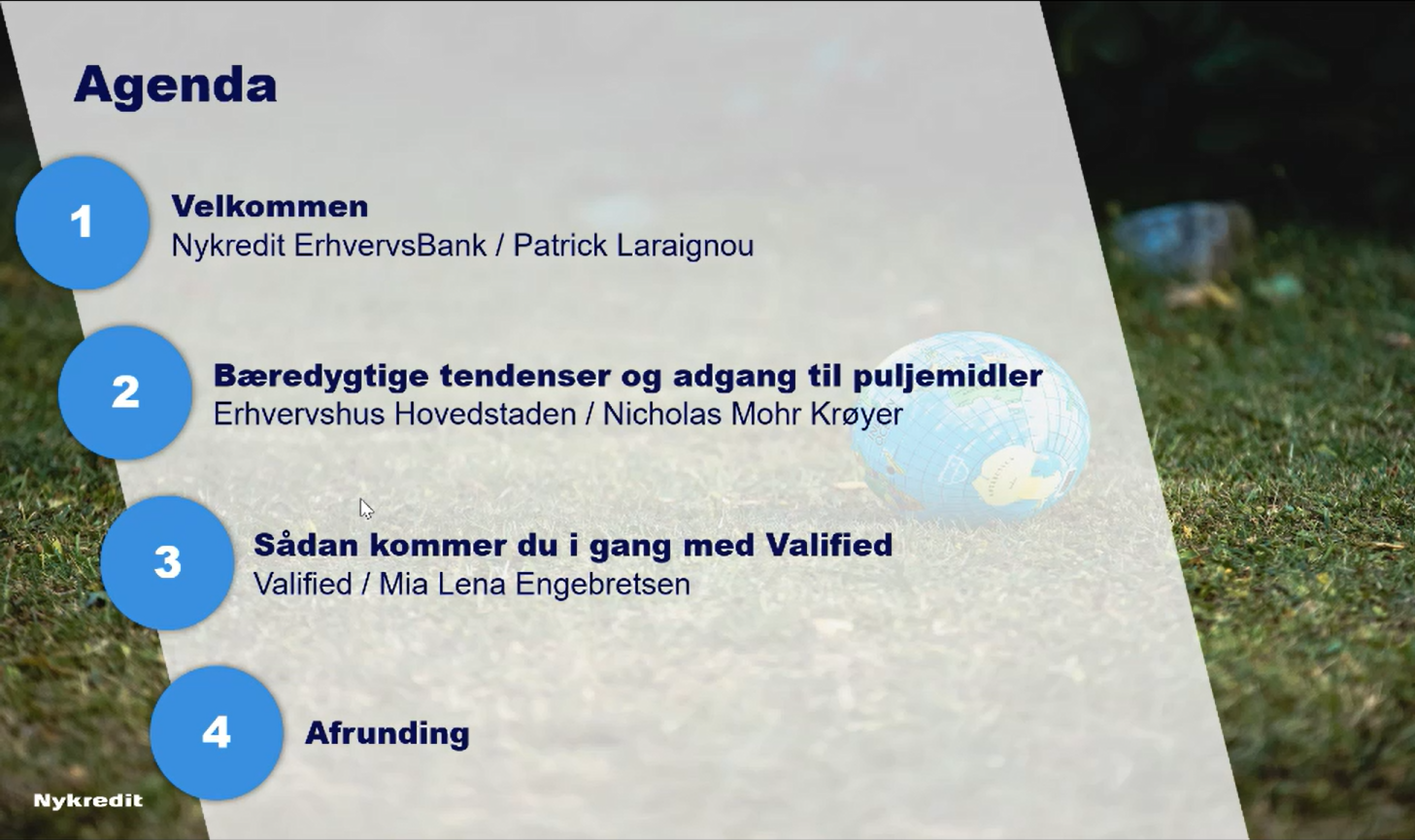 Agenda til Webinar